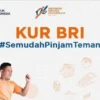 Pinjaman KUR BRI