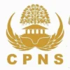 pendaftaran cpns