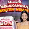 promo mudik