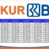 pinjaman KUR BRI