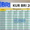KUR BRI