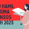 bansos PKH ibu hamil