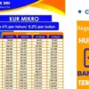 KUR BRI