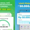 pinjaman online