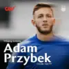 Kiper Persib