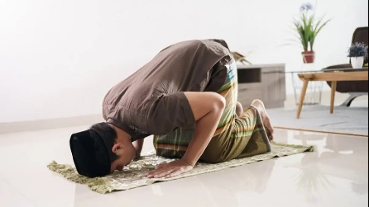 Sujud