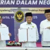 Sinergi