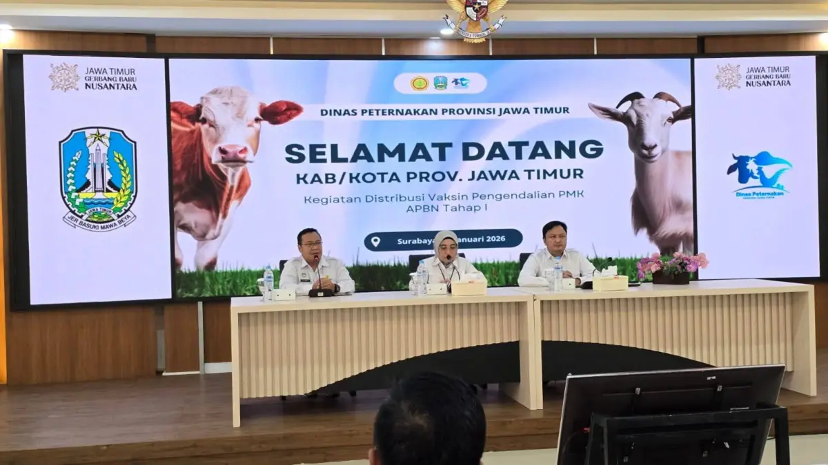 Pemprov Jatim dan Kementan Percepat Vaksinasi PMK, Amankan Lumbung Ternak Nasional Vaksinasi