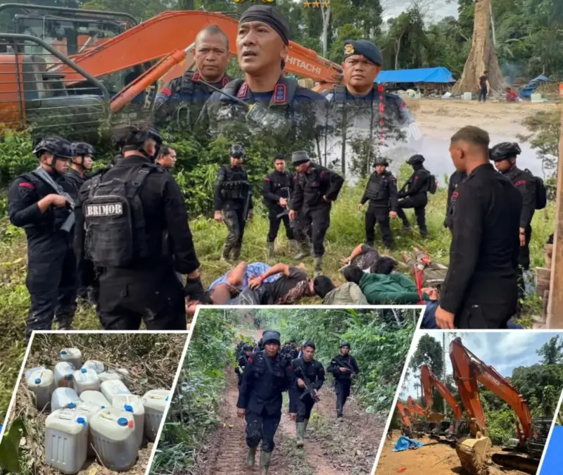 Penertiban Tambang Emas Ilegal Madina dan Tapsel: Brimob Polda Sumut Amankan 12 Ekskavator Ilegal