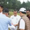 Pendampingan