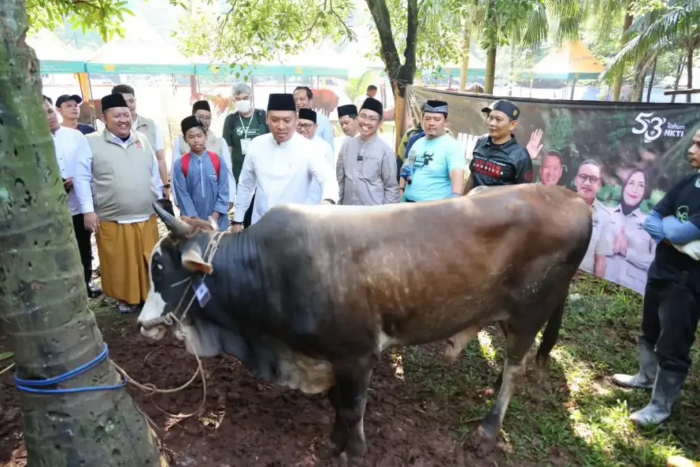 Stok melimpah