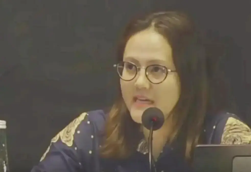 Sorotan luas