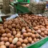 Harga telur