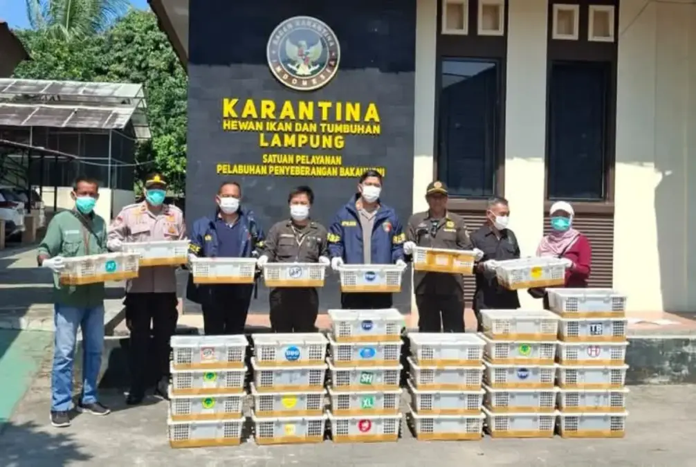 Tanpa dokumen