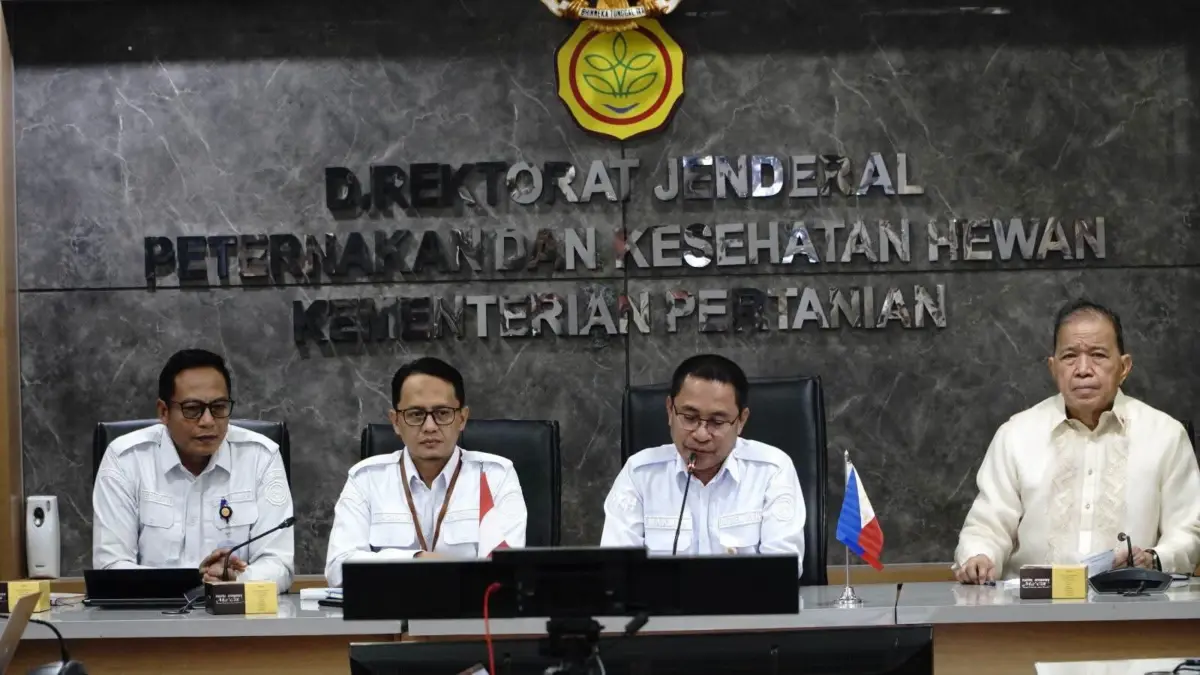 Kerja sama