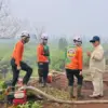 Turun langsung