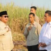 Harga Jagung Rp5.000 per Kg Lewat SPHP, Peternak Lampung Sampaikan Terima Kasih kepada Prabowo