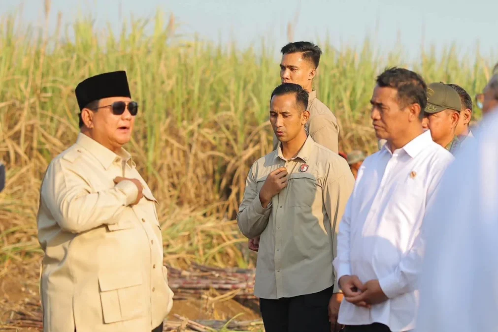 Harga Jagung Rp5.000 per Kg Lewat SPHP, Peternak Lampung Sampaikan Terima Kasih kepada Prabowo Harga Jagung Rp5.000 per Kg Lewat SPHP, Peternak Lampung Sampaikan Terima Kasih kepada Prabowo
